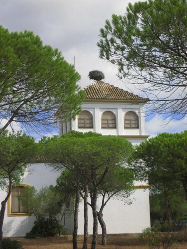 Monasterio de la Rabida, Huelva